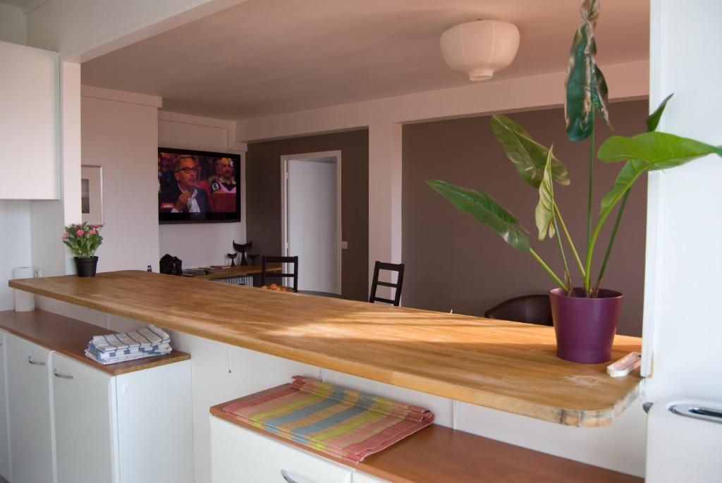Moderne Et Lumineux Appartamento